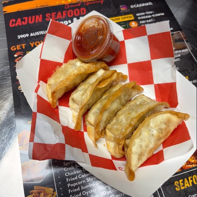 Fried Dumplings (5).