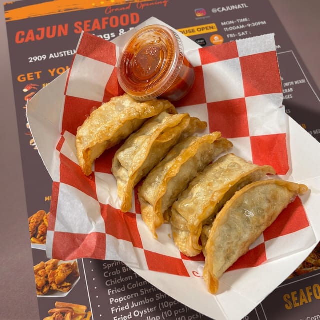 Fried Dumplings (5).